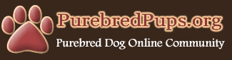 Welcome to the Purebred Dog Community