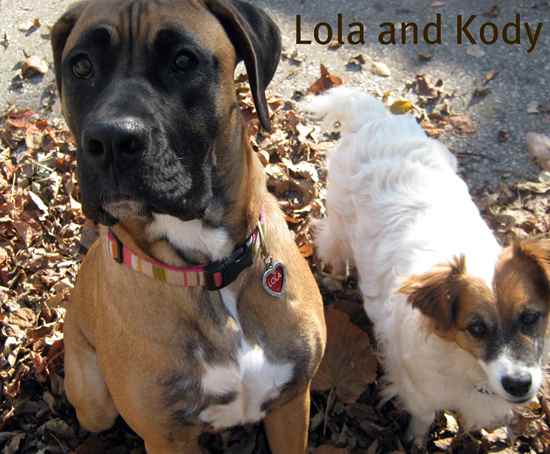 Lola the Boxmas