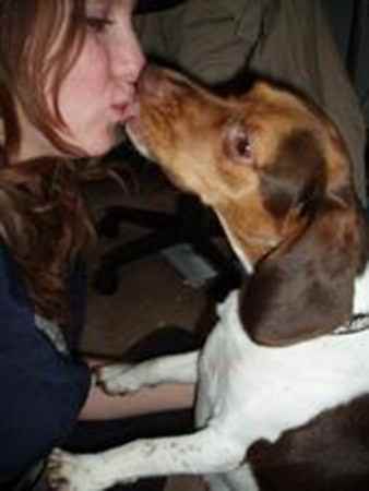 Riley the Beagle